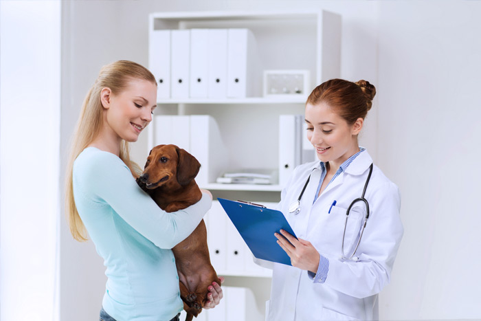 ЭЦП для оформления ветеринарных сертификатов (ГИС Меркурий) в Артеме